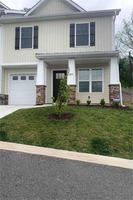Newly Built Townhome Close To The Asheville Sites Candler Exterior photo